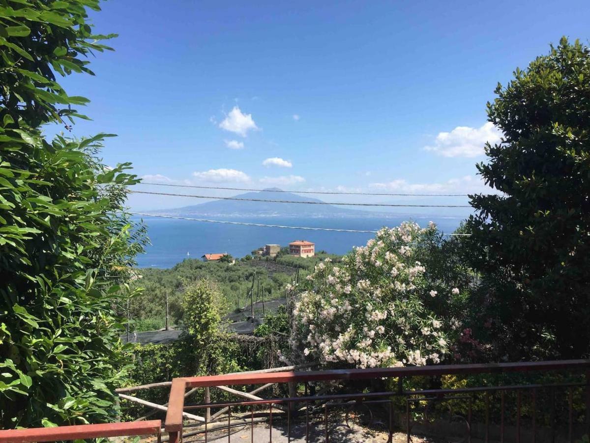 Apartment The Magnolia Sorrento
